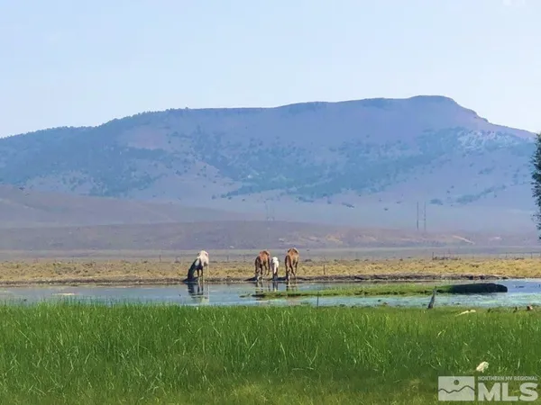 $50,000 | 0 Superior Millsite Mine, Austin, NV 89310