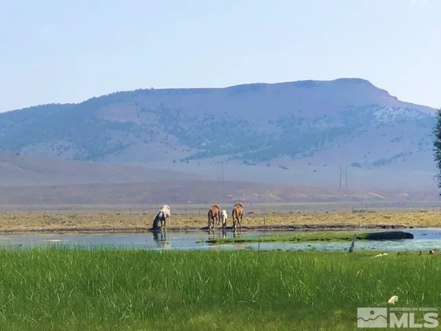 $60,000 | 0 Superior Millsite Mine, Austin, NV 89310