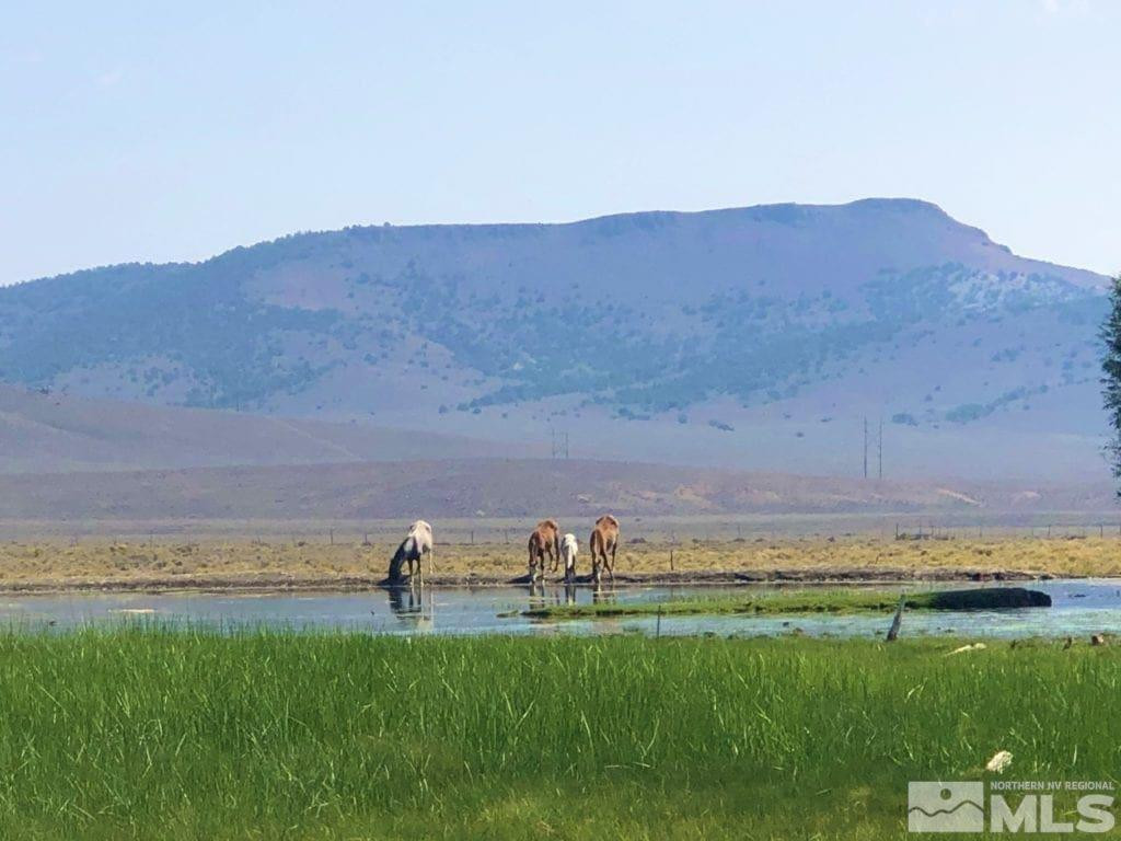 0 Superior Millsite Mine Austin, NV 89310 - Photo 2 of 14 Photo 2