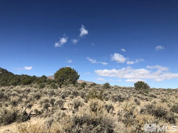 $50,000 | 0 Superior Millsite Mine, Austin, NV 89310