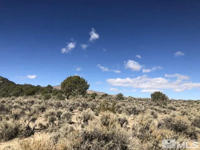 $60,000 | 0 Superior Millsite Mine, Austin, NV 89310