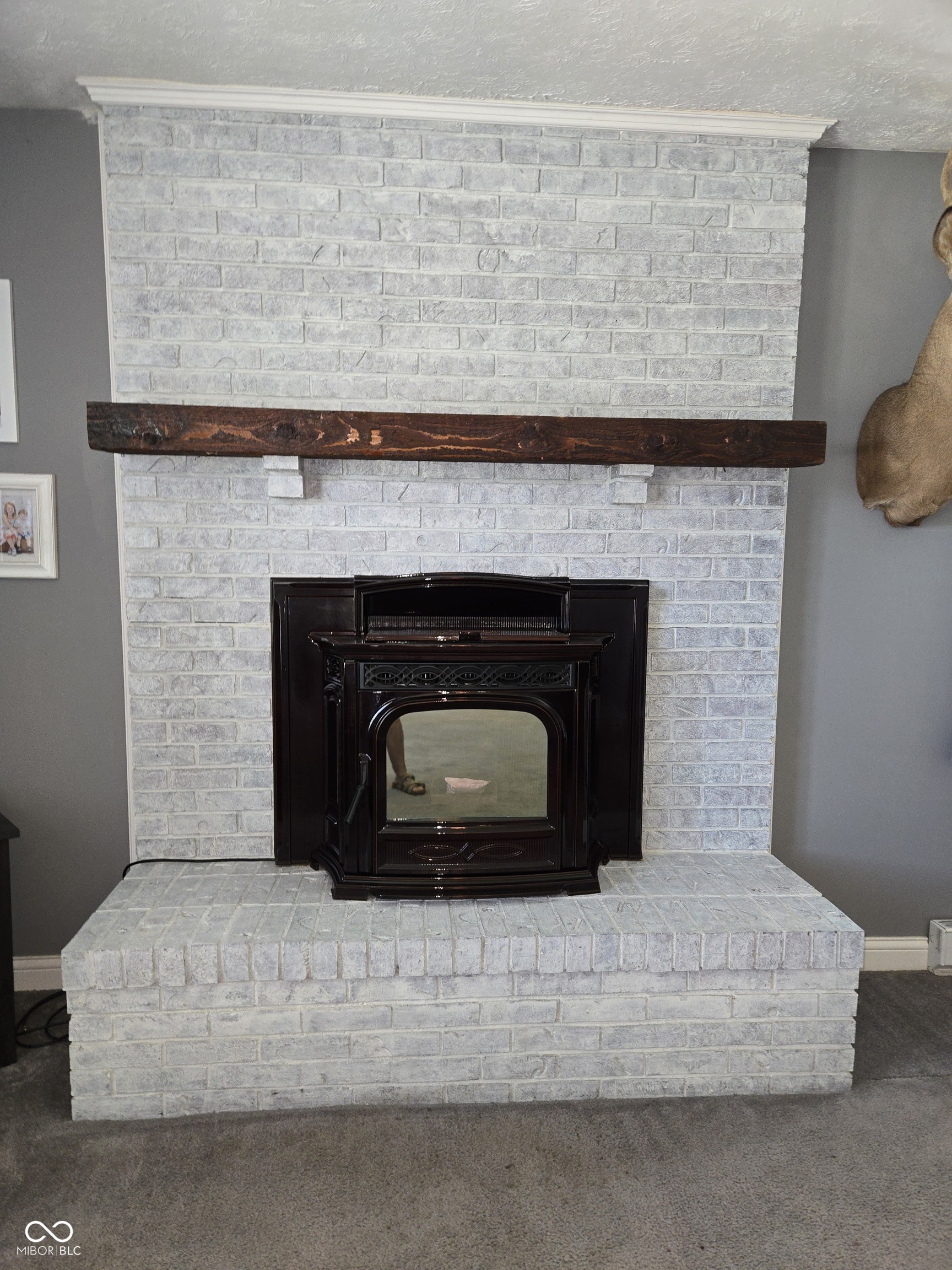 1598 South Thompson Road Shelbyville, IN 46176 - Photo 4 of 69