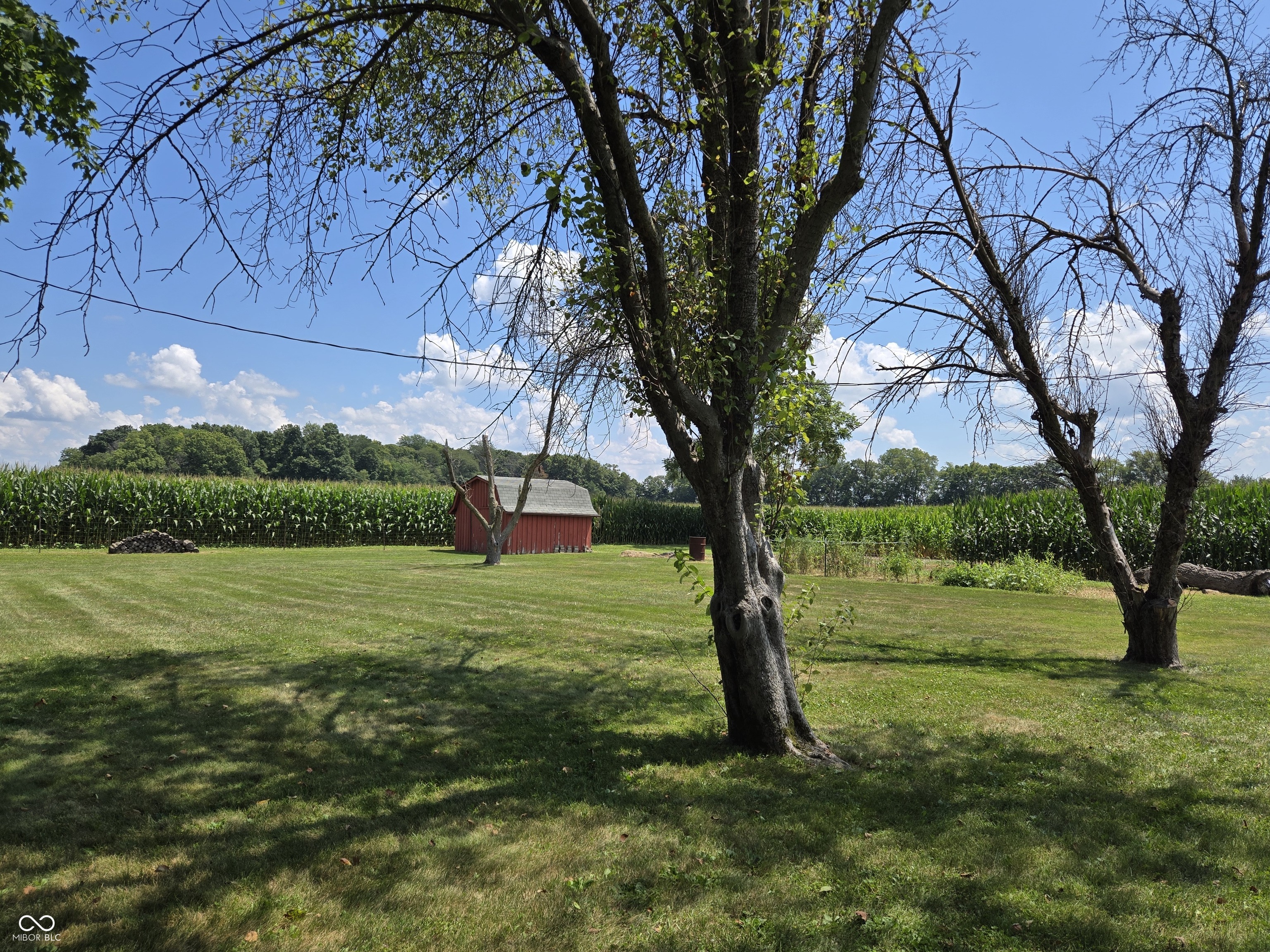 1598 South Thompson Road Shelbyville, IN 46176 - Photo 41 of 69