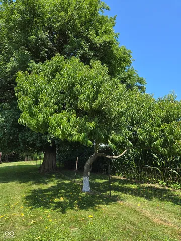 $259,000 | 1598 South Thompson Road, Shelbyville, IN 46176