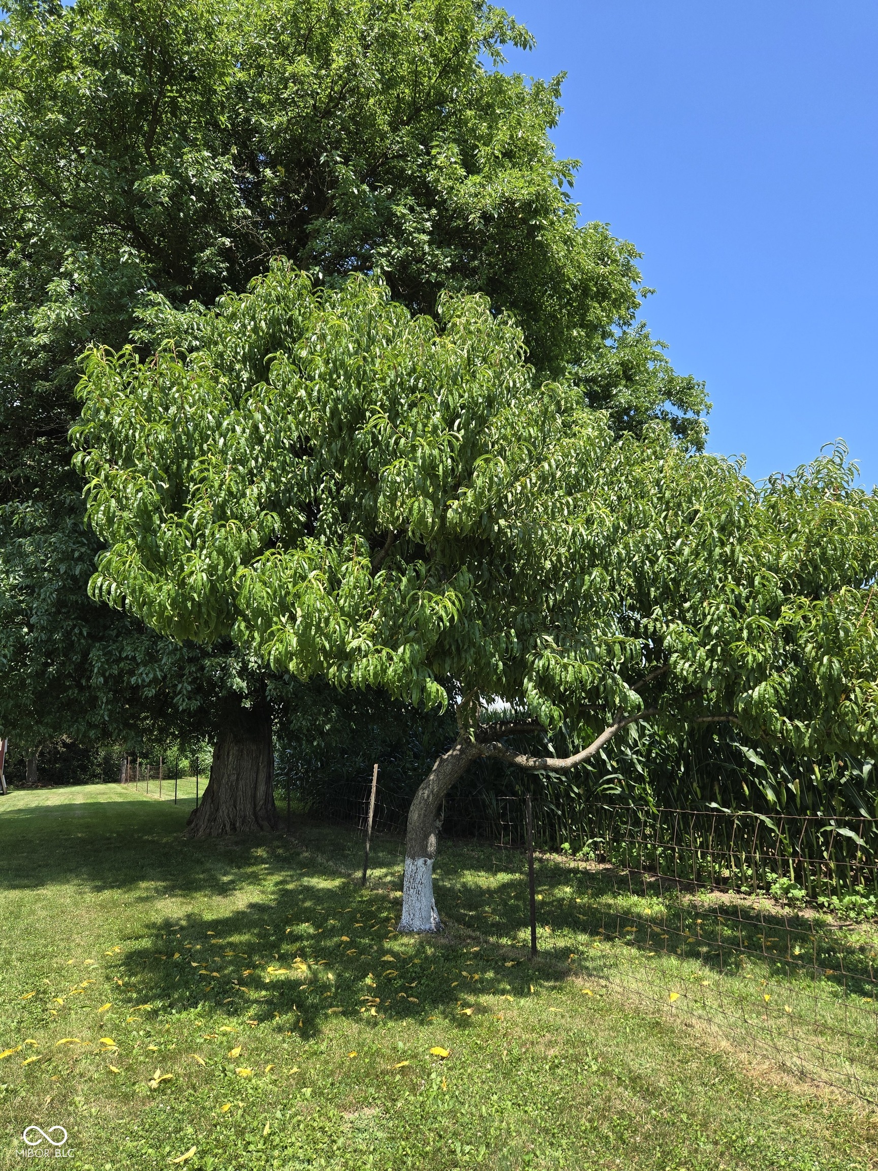 1598 South Thompson Road Shelbyville, IN 46176 - Photo 47 of 69