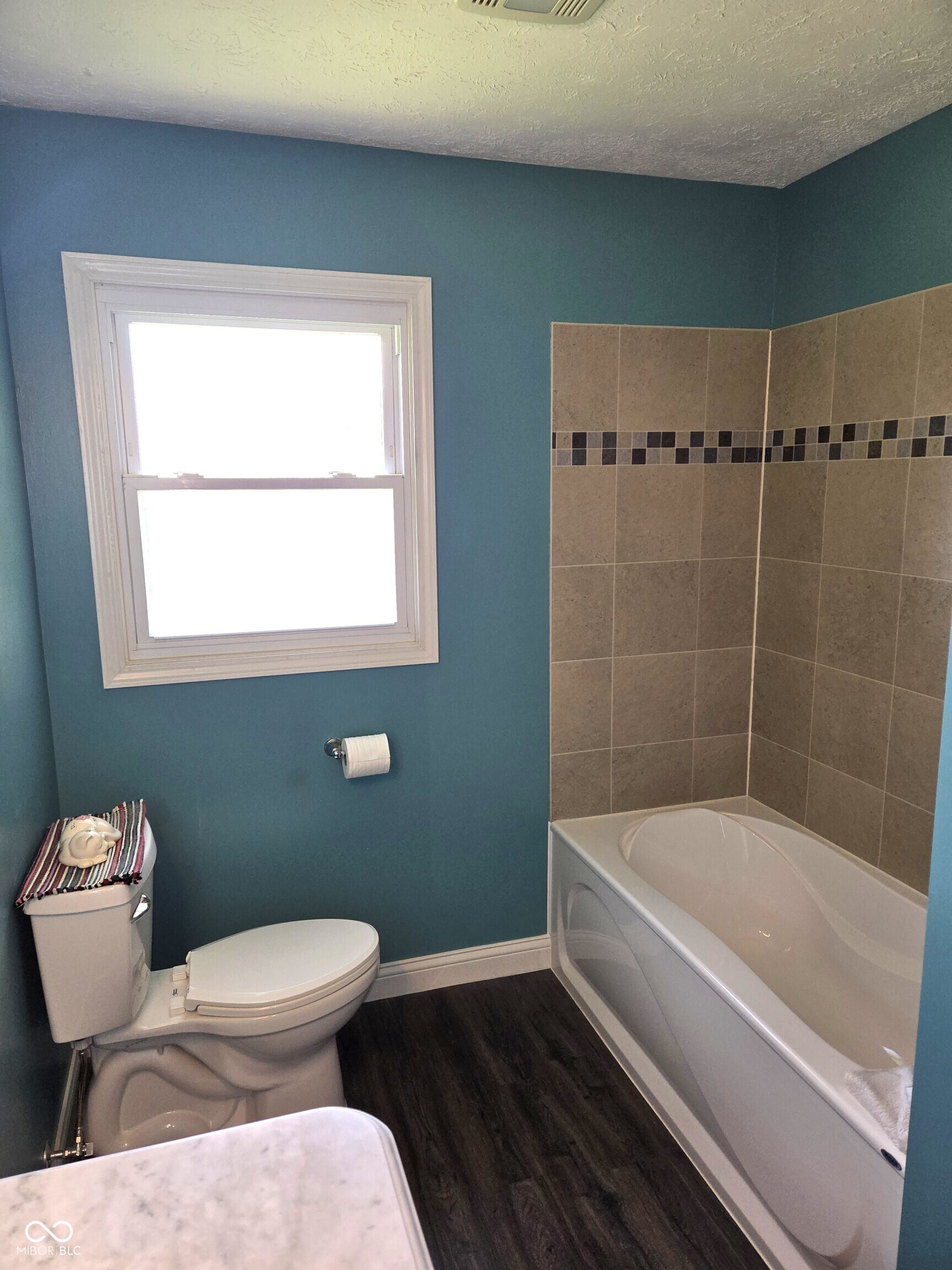 1598 South Thompson Road Shelbyville, IN 46176 - Photo 10 of 69