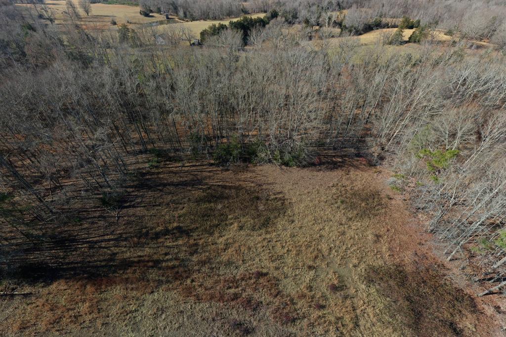 3291 Briery Road Keysville, VA 23947 - Photo 64 of 69 Gallery Image 64