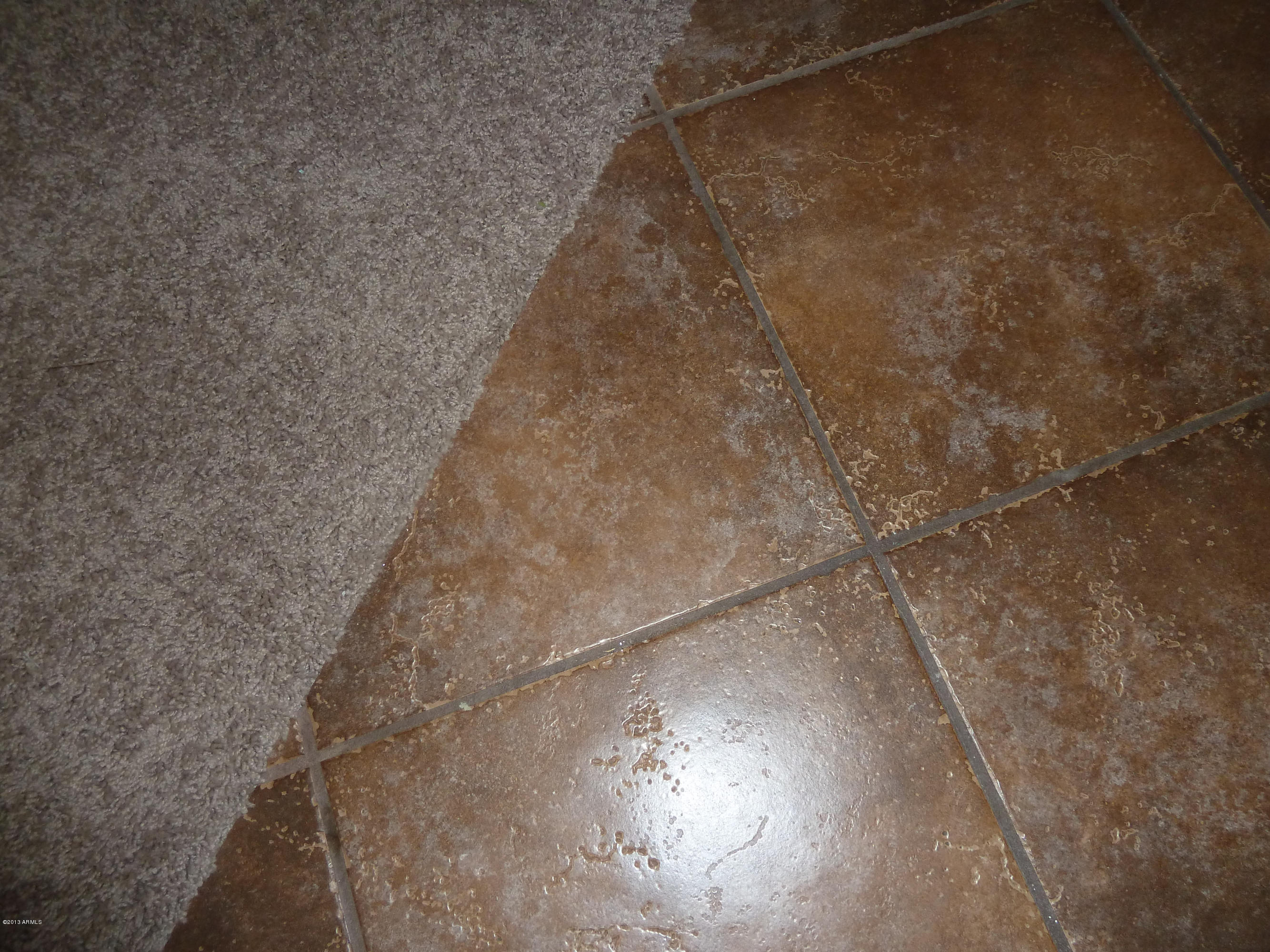 14804 West Calavar Road Surprise, AZ 85379 - Photo 17 of 34 P1050852
