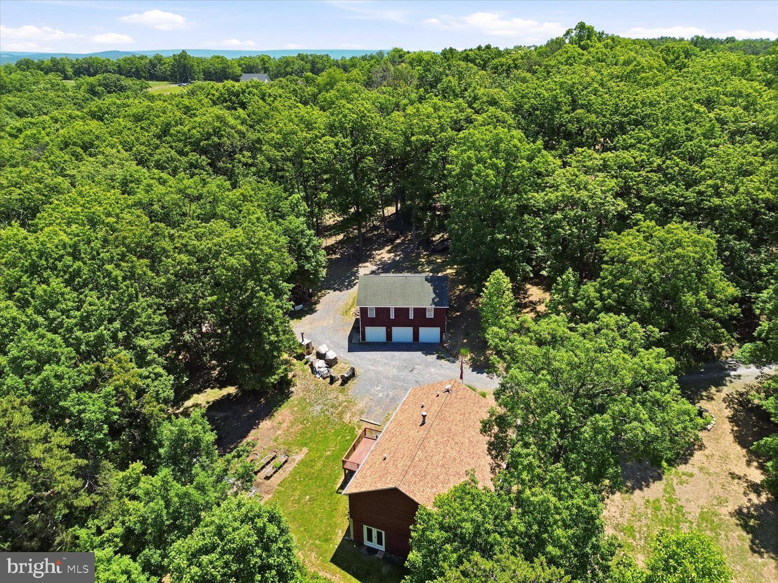 323 South Timber Ridge Road Cross Junction, VA 22625 - Photo 95 of 109 Secluded retreat amidst lush greenery.