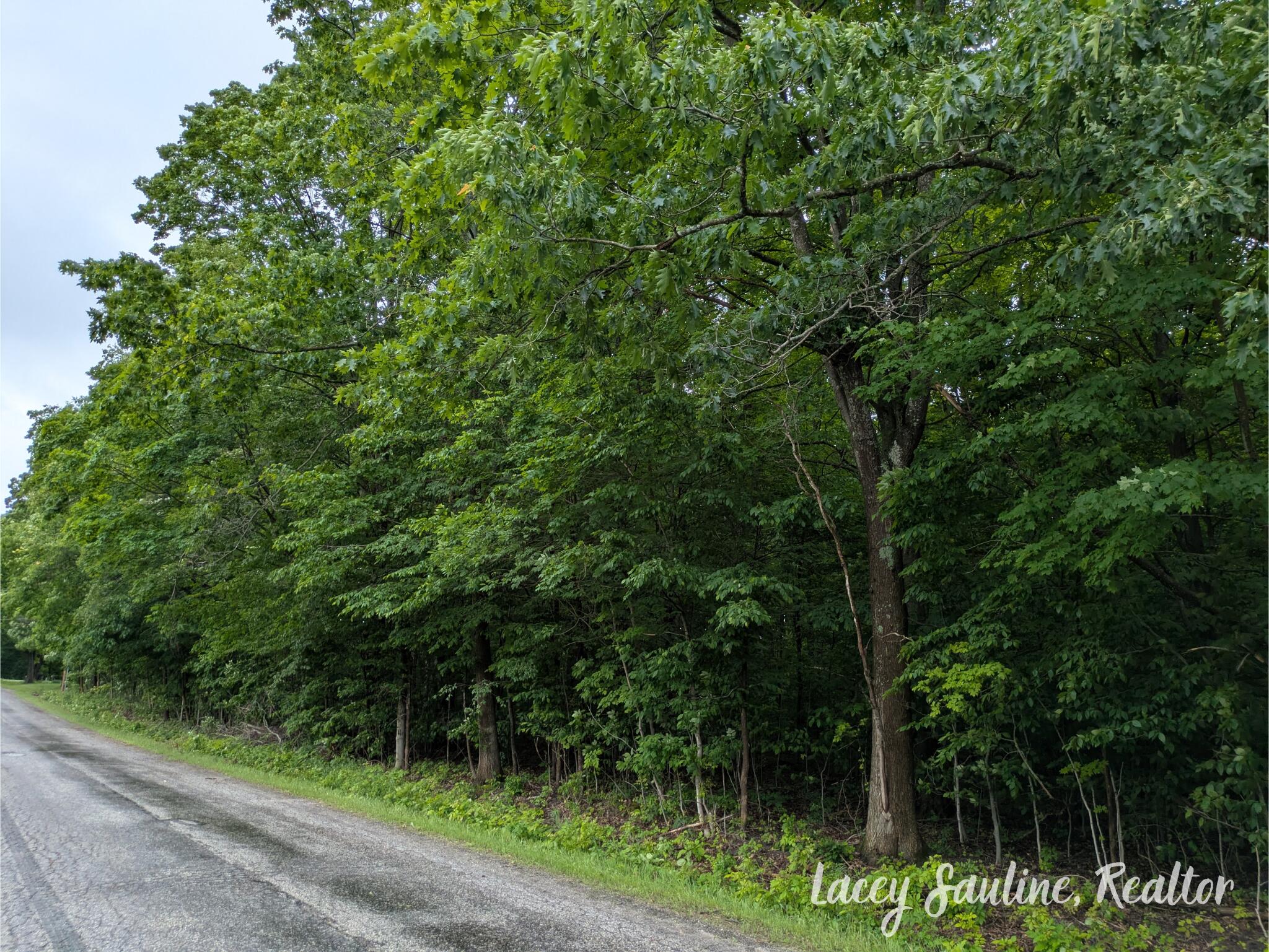 West Finkle Road Cadillac, MI 49601 - Photo 20 of 21 Lacey Sauline (3)