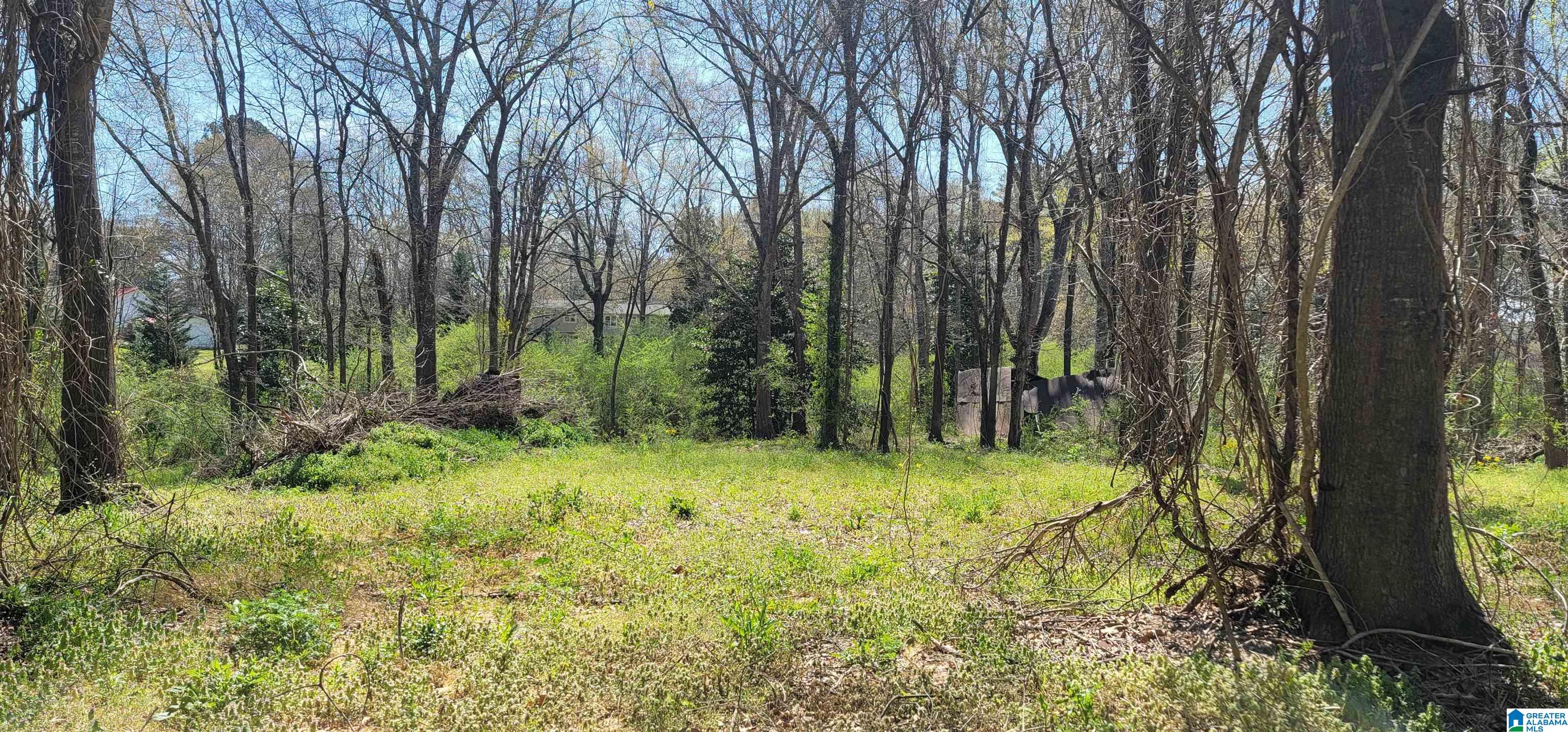 0 Osborne Street, Unit 3 ACRES Heflin, AL 36264 - Photo 2 of 11