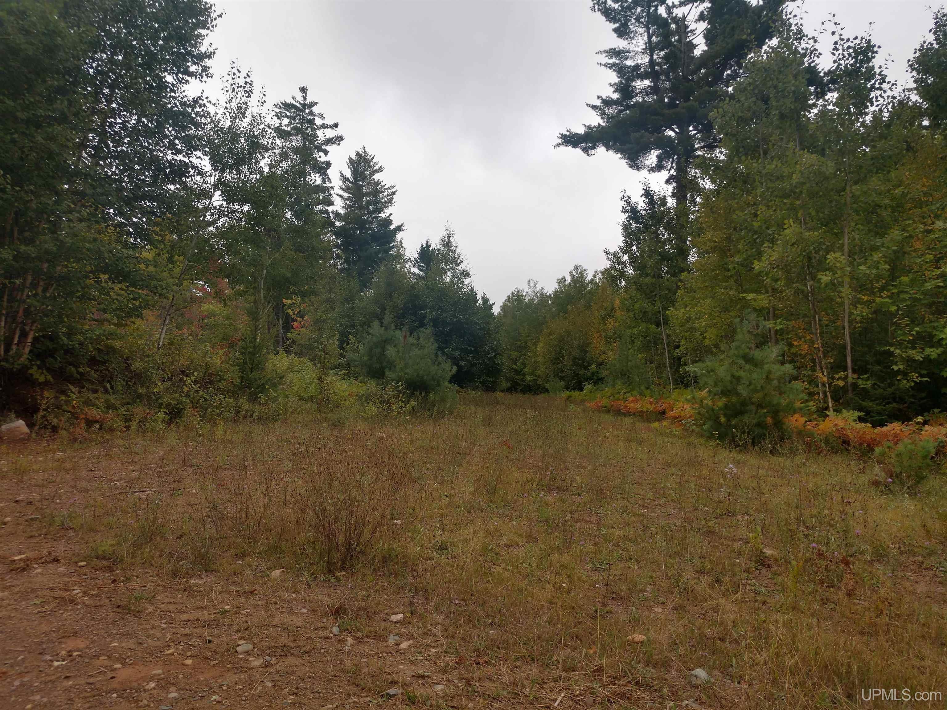 80-acres Grant Lake Road Republic, MI 49879 - Photo 14 of 17 Gallery Image 14