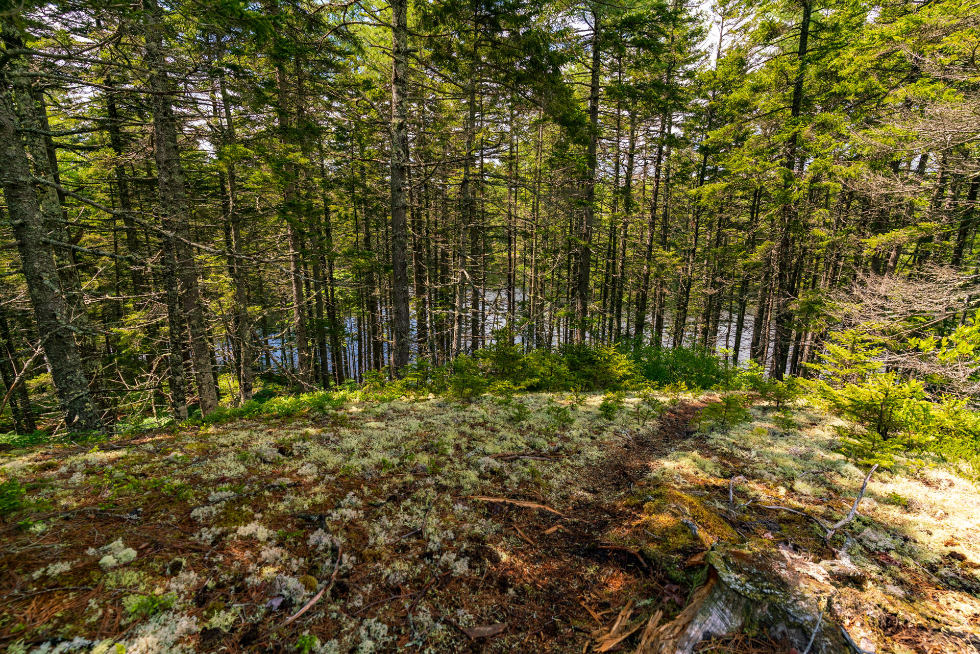 108 Forest Lake Road Friendship, ME 04547 - Photo 42 of 61 _DSC5175-HDR