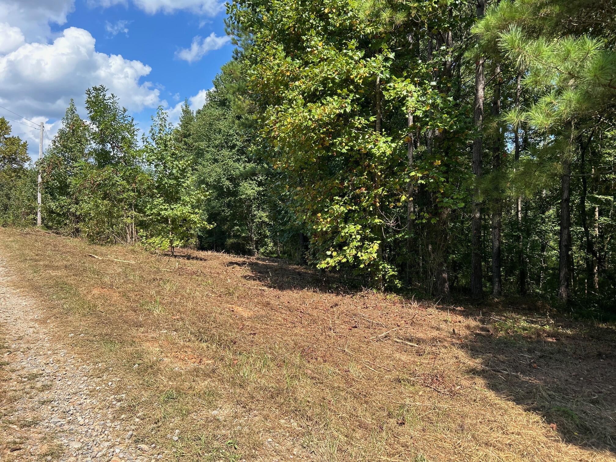684 Cuno Lane Decatur, TN 37322 - Photo 23 of 25