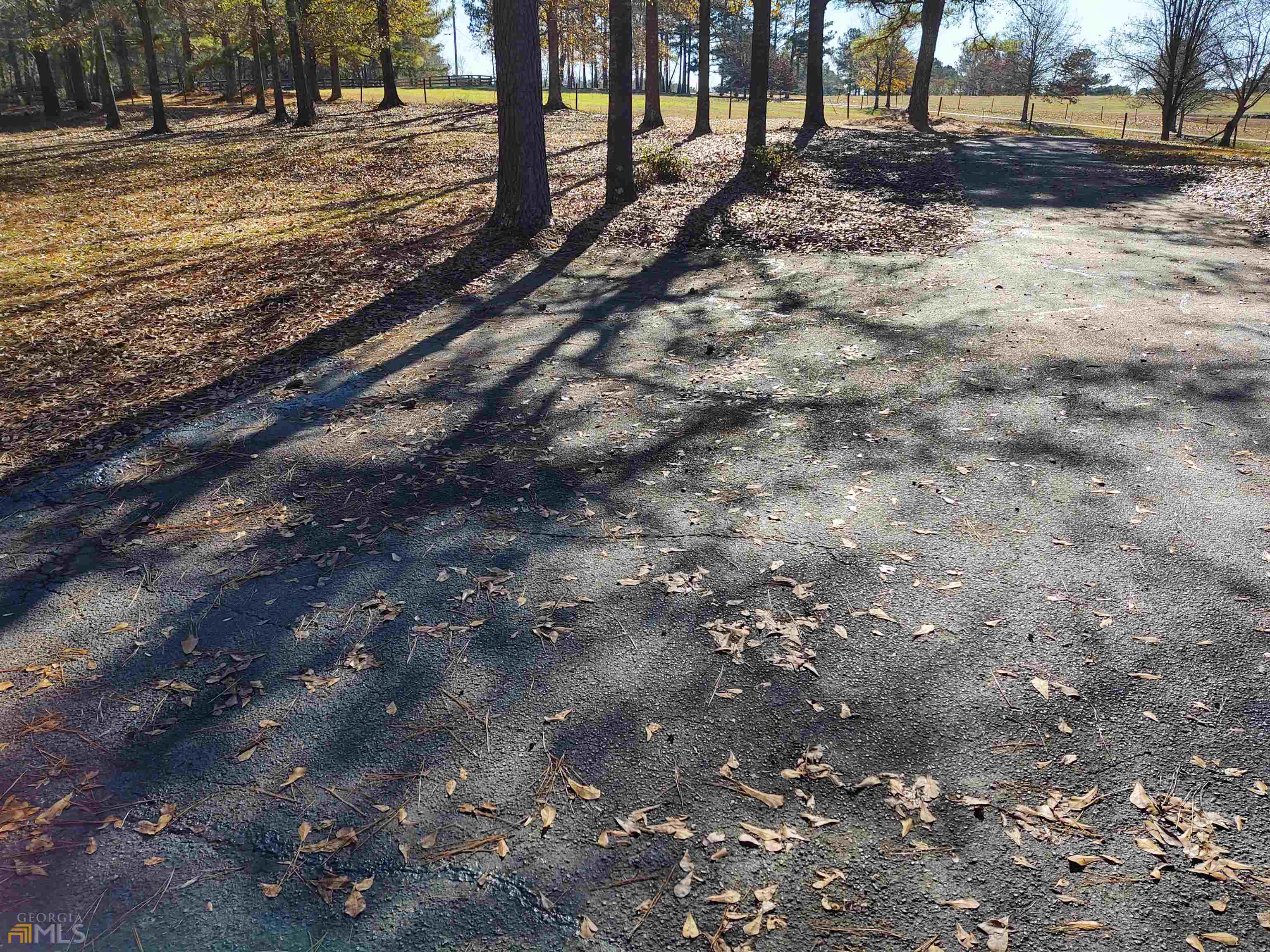 1467 Elders Mill Road, Unit ABOVE Senoia, GA 30276 - Photo 18 of 18 a view of a yard with a tree