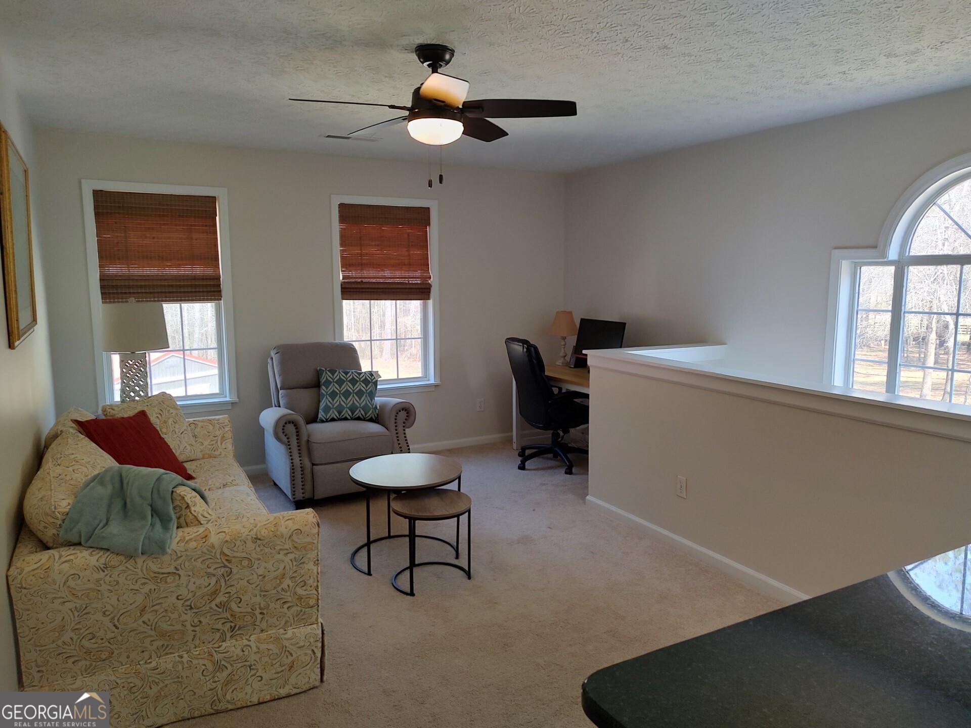 1467 Elders Mill Road, Unit ABOVE Senoia, GA 30276 - Photo 7 of 18 a living room with furniture and a window