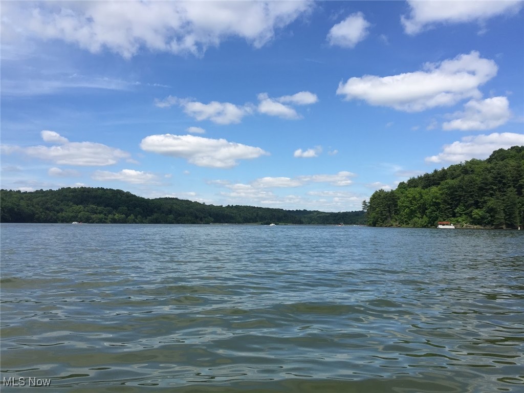 86413 North Bay Road Scio, OH 43988 - Photo 45 of 45 Tappan Lake