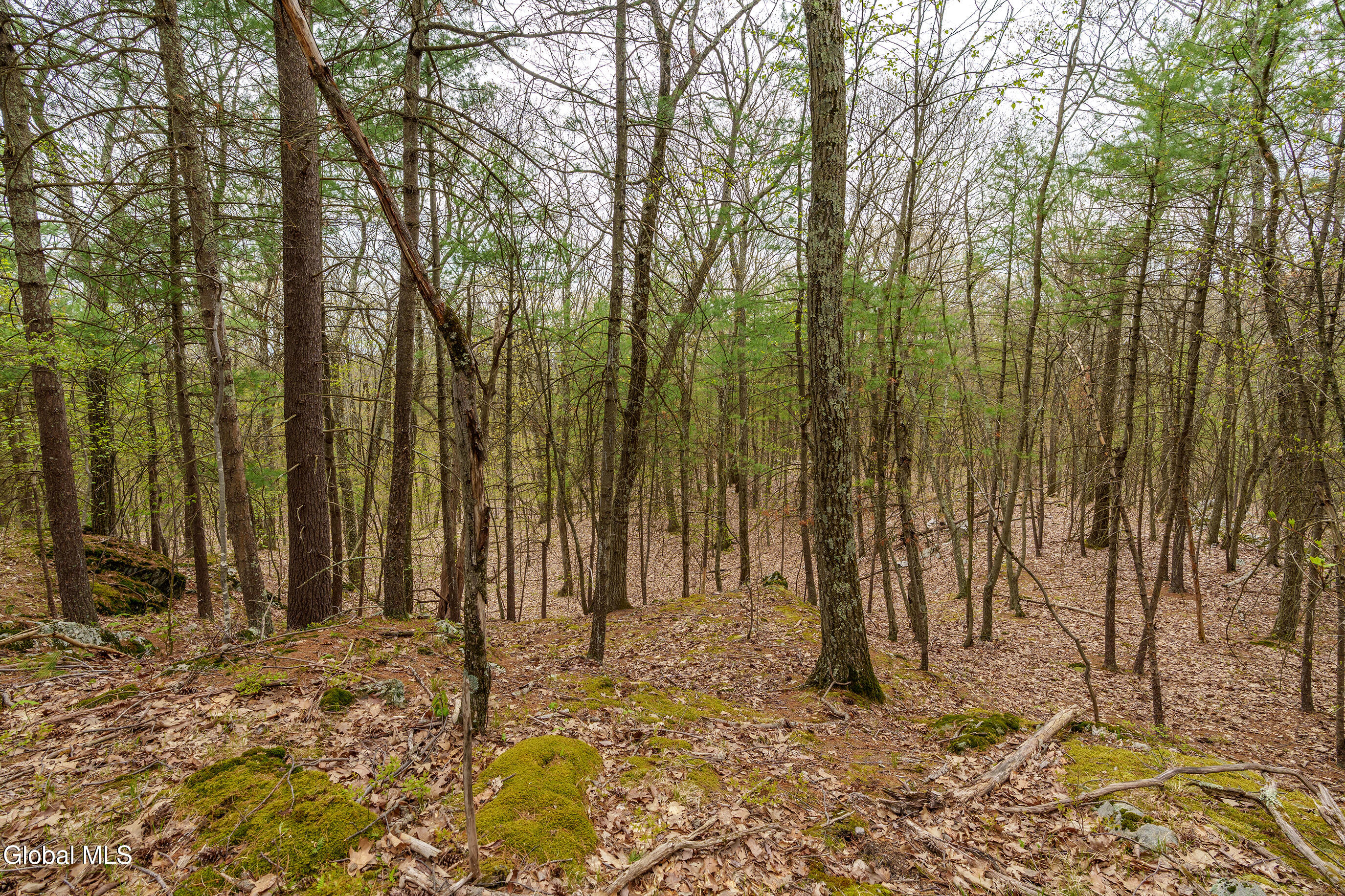 83 Maschodack Road Nassau, NY 12123 - Photo 11 of 26 009-Mashodack-Rd-Nassau-NY-12123