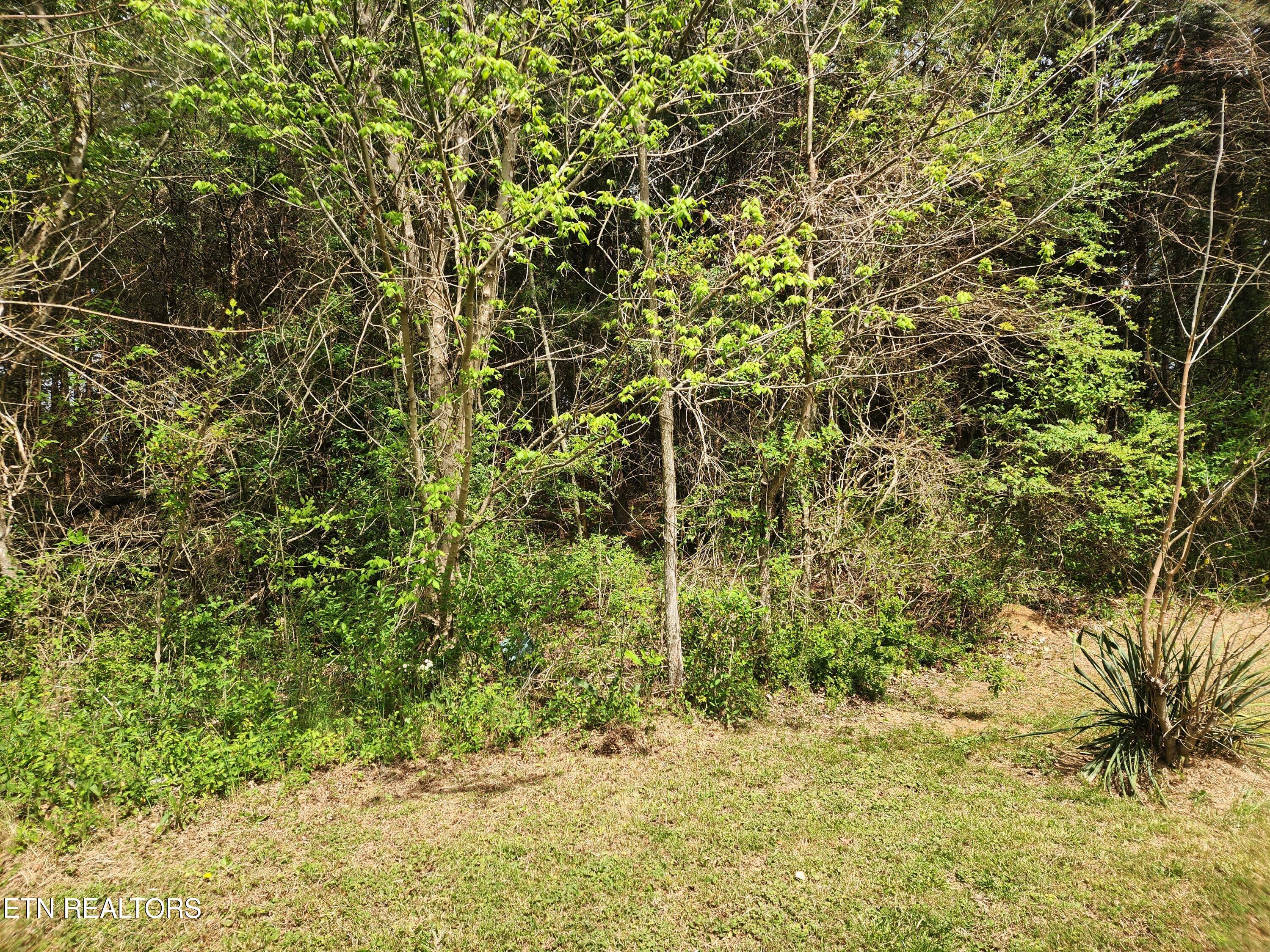 942 Honeysuckle Road Maryville, TN 37801 - Photo 12 of 29 20260408_130056