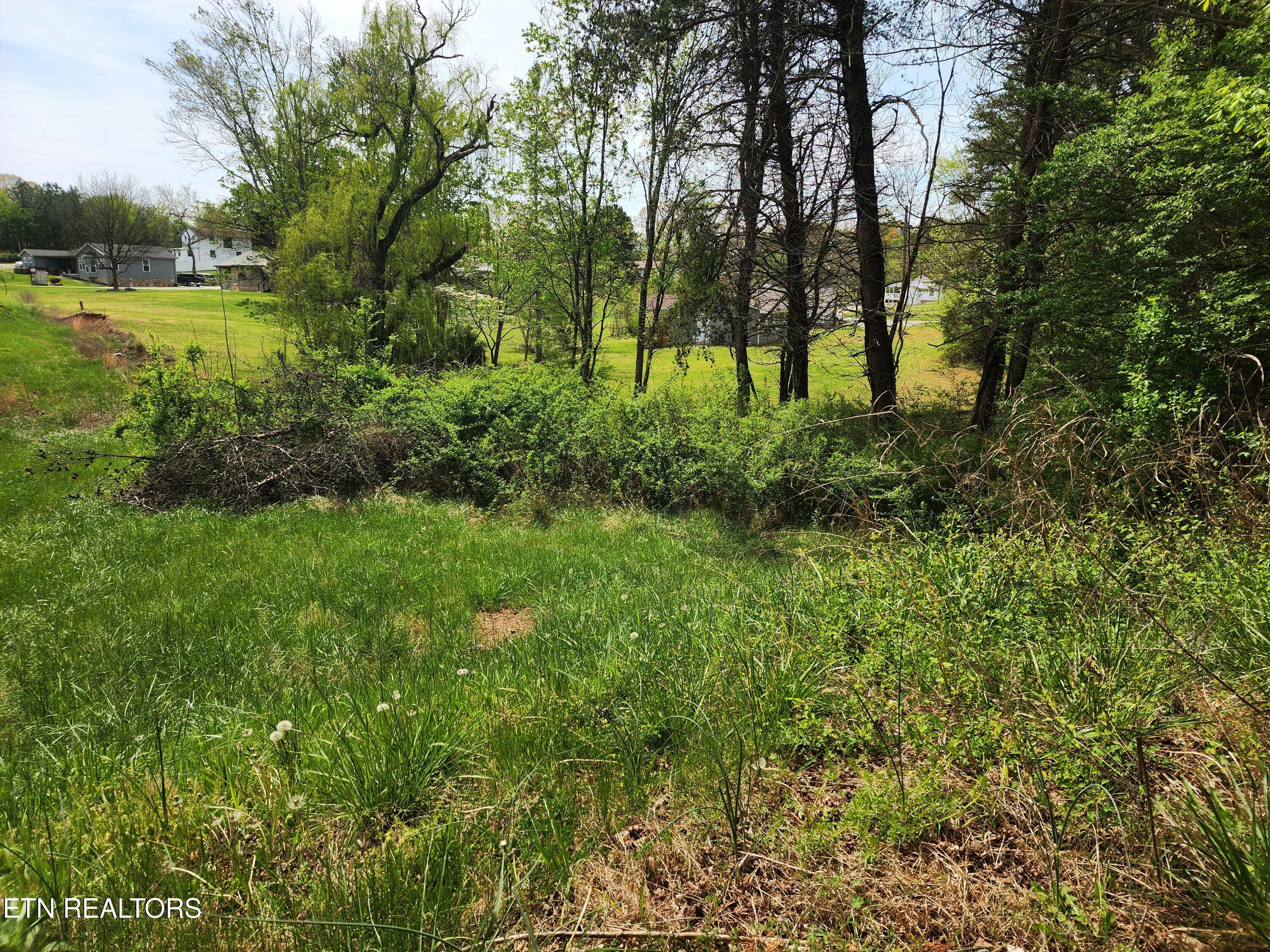 942 Honeysuckle Road Maryville, TN 37801 - Photo 20 of 29 20260408_130436
