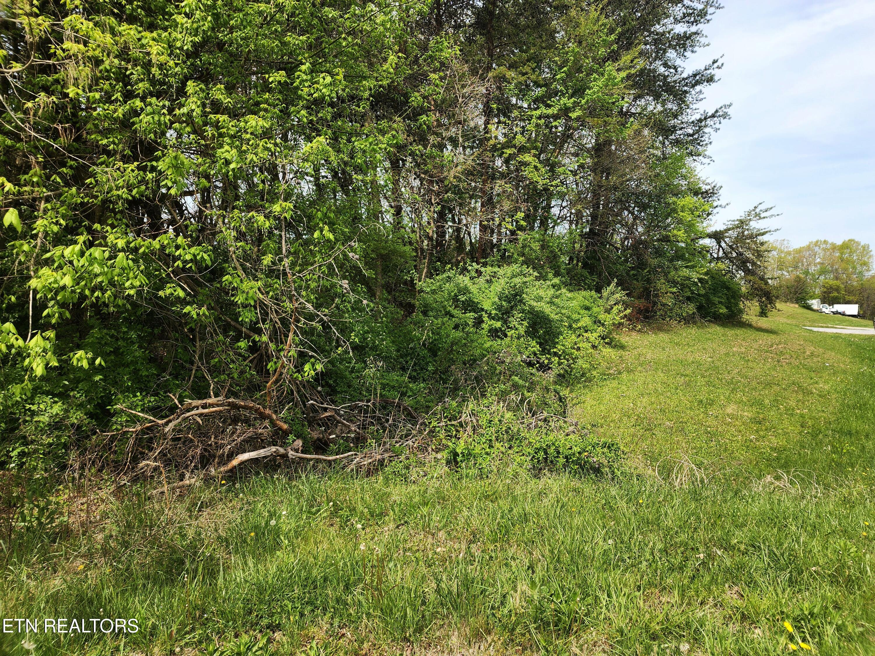 942 Honeysuckle Road Maryville, TN 37801 - Photo 21 of 29 20260408_130446