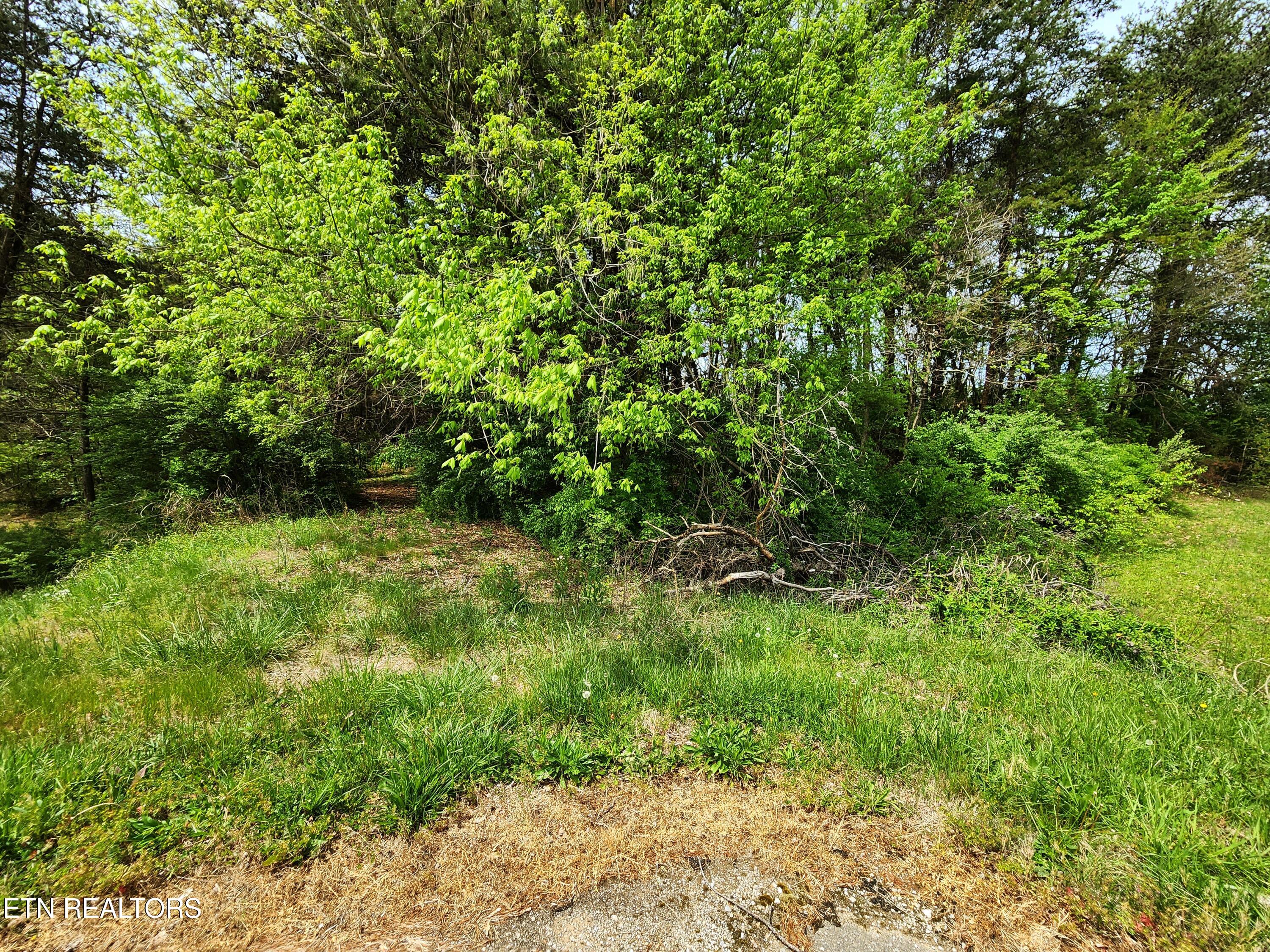 942 Honeysuckle Road Maryville, TN 37801 - Photo 23 of 29 20260408_130453