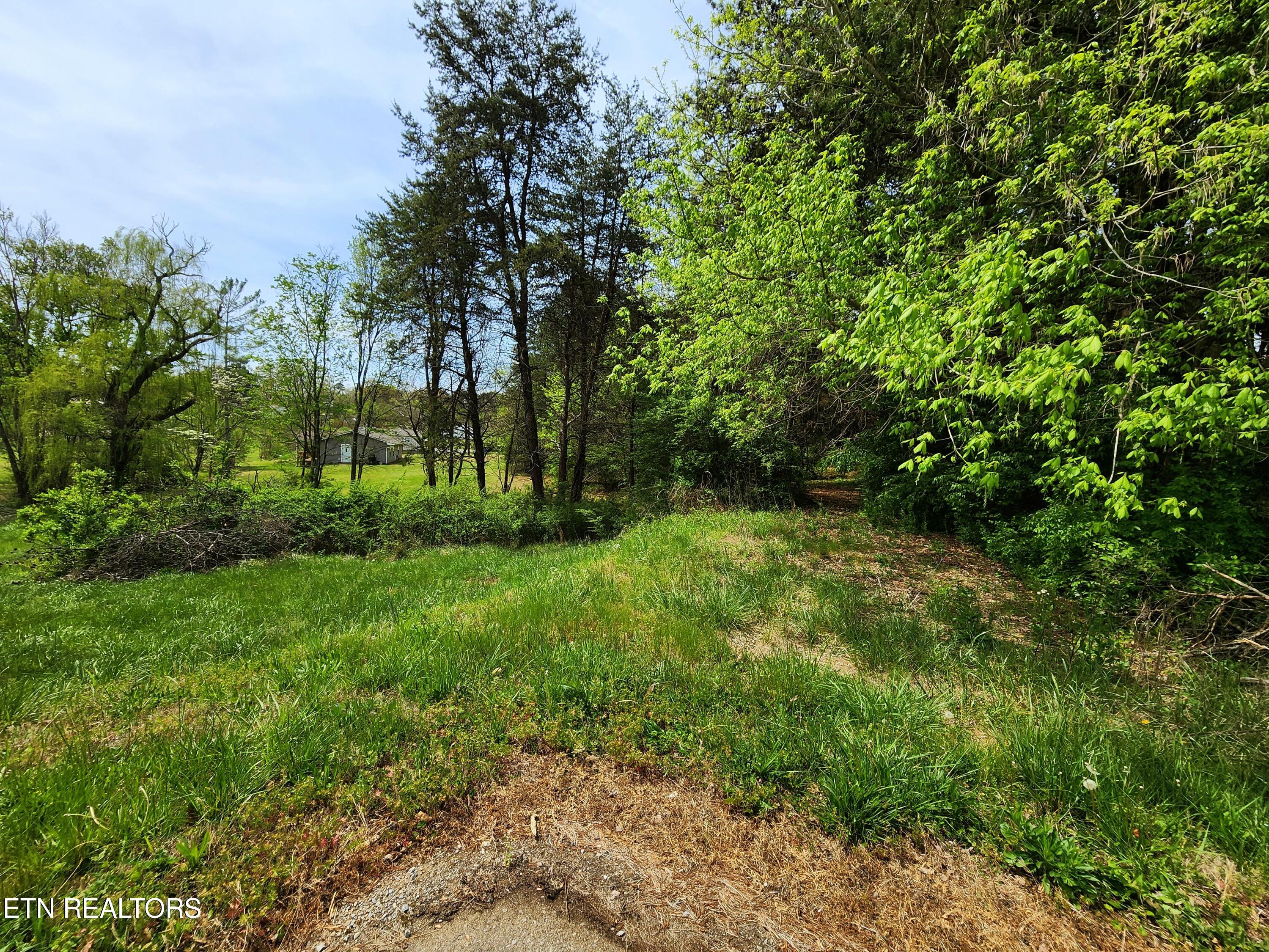 942 Honeysuckle Road Maryville, TN 37801 - Photo 24 of 29 20260408_130454