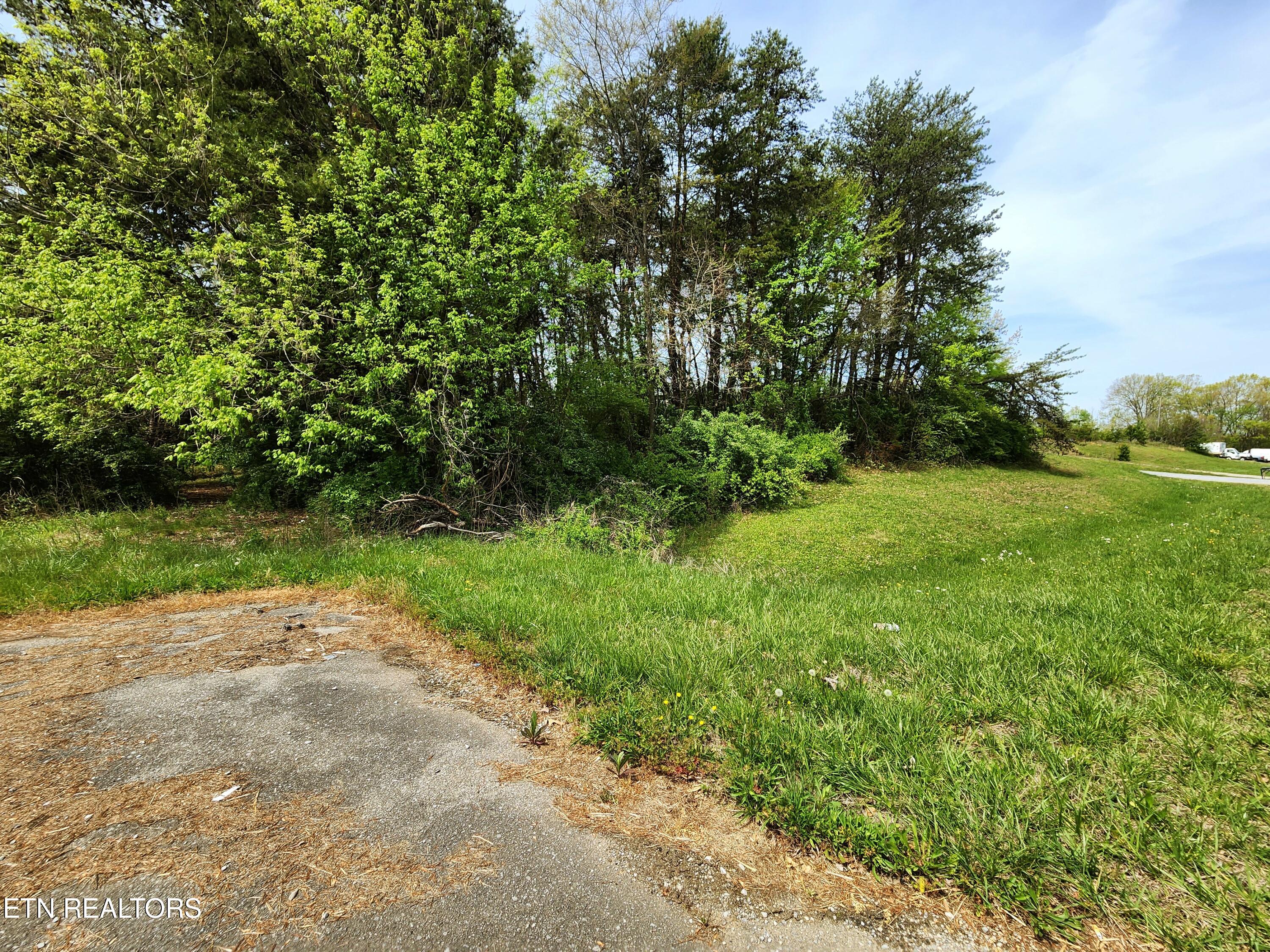 942 Honeysuckle Road Maryville, TN 37801 - Photo 28 of 29 20260408_130535
