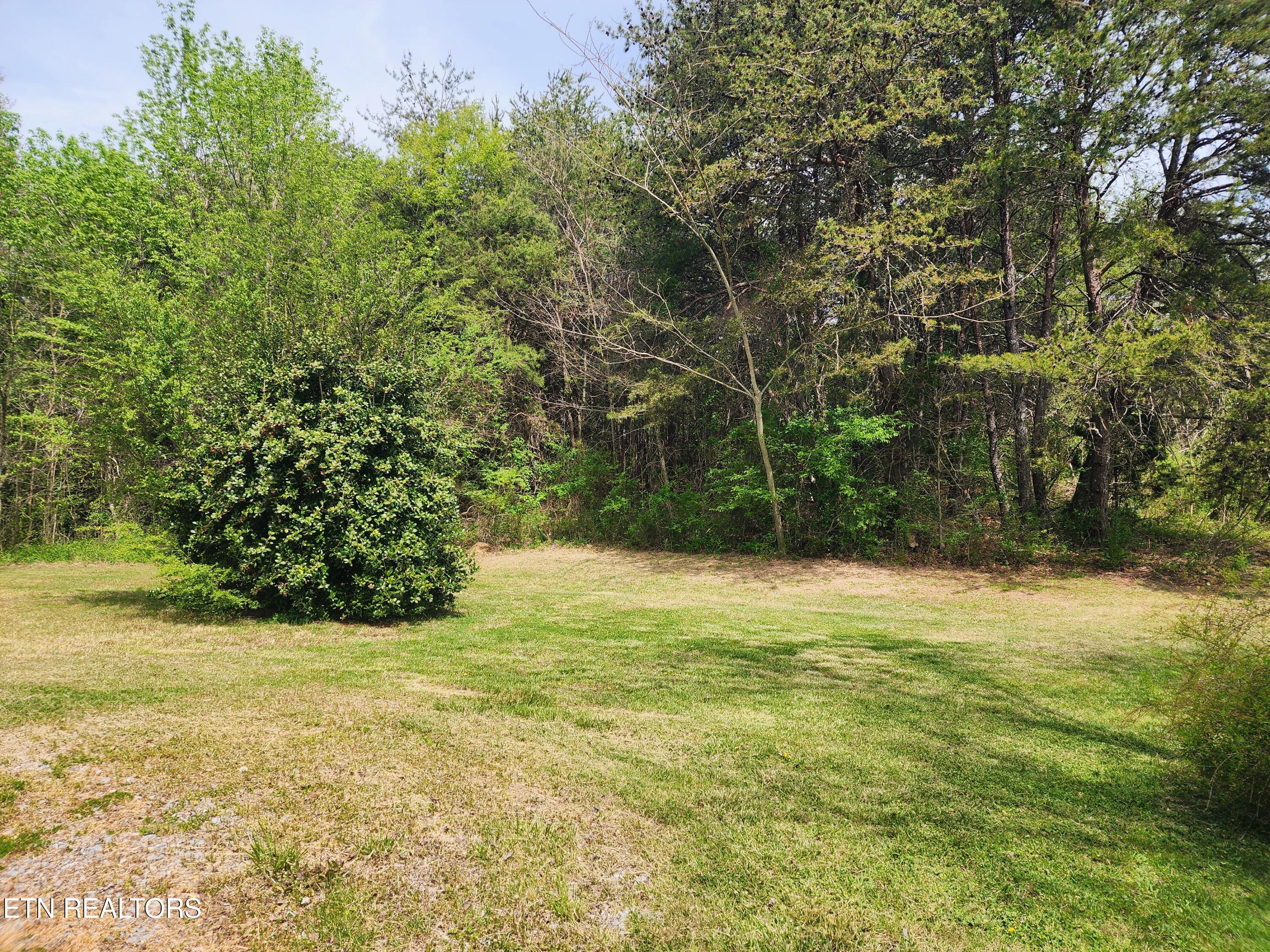 942 Honeysuckle Road Maryville, TN 37801 - Photo 3 of 29 20260408_130033