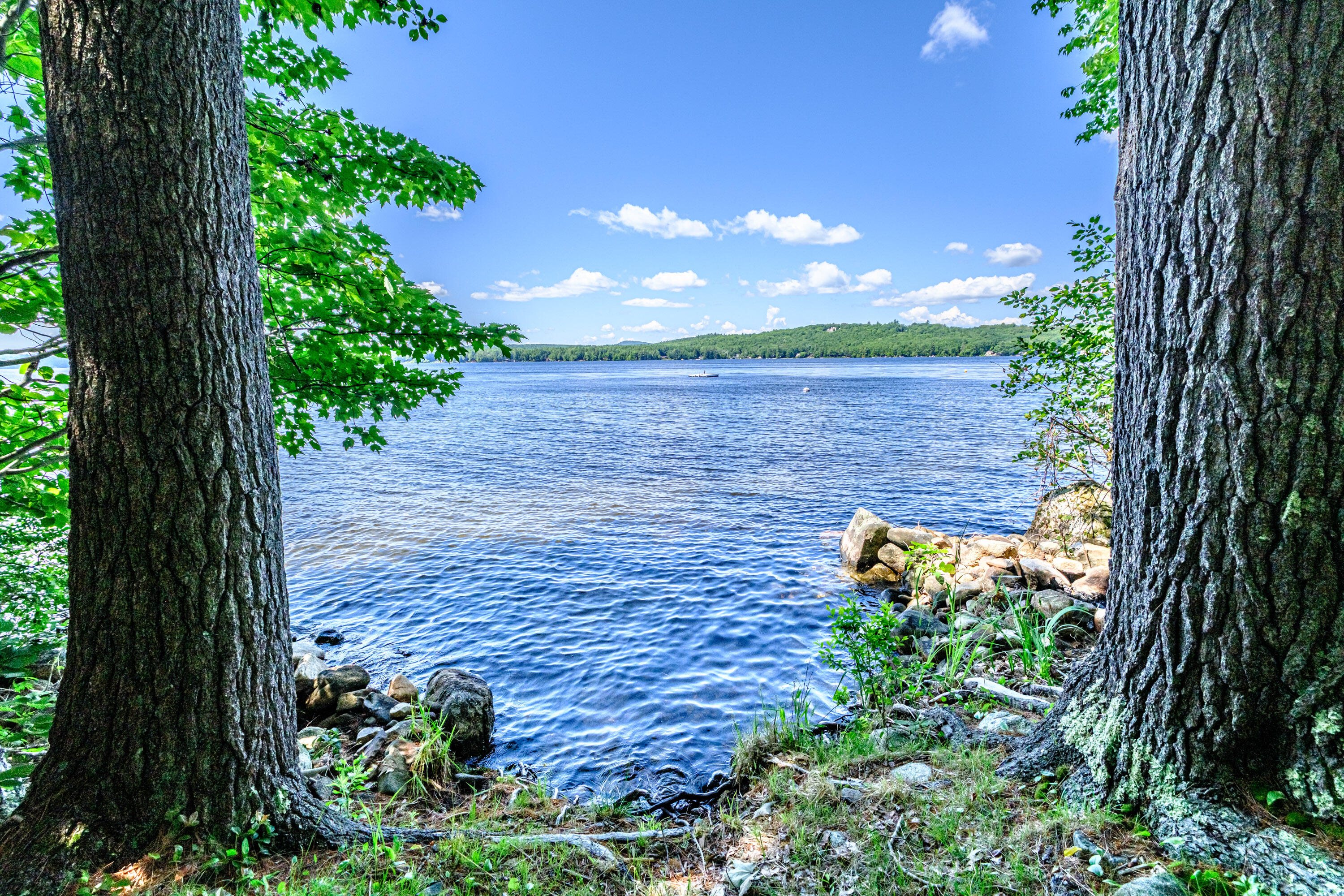 10 Bear Point Road Harrison, ME 04040 - Photo 82 of 86 20260624gp-61095