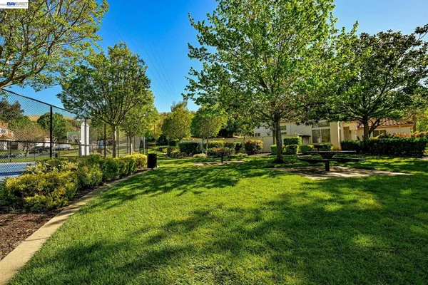 a view of backyard of house with green space