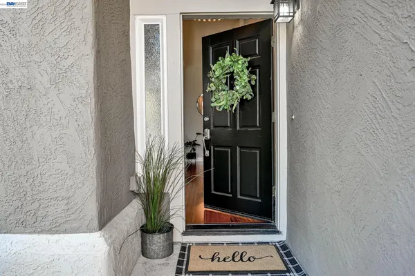 a potted plant sitting on a floor in front of a door