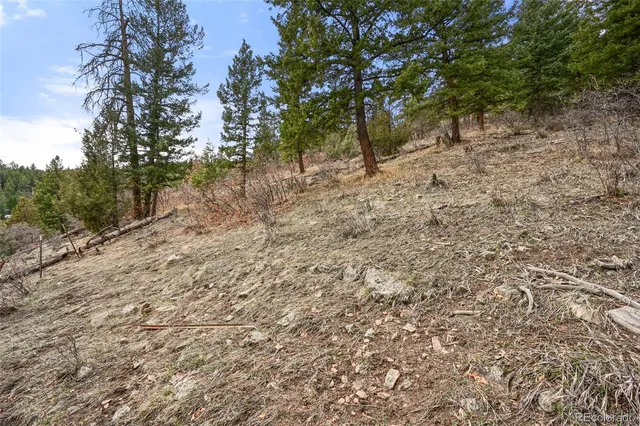 a view of a dry yard with mountains in the background