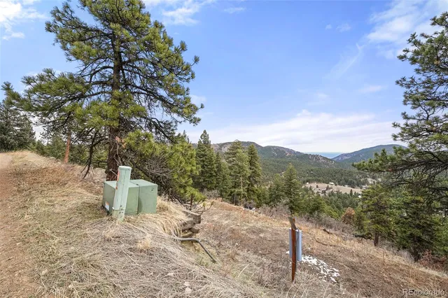 a view of a yard with a tree