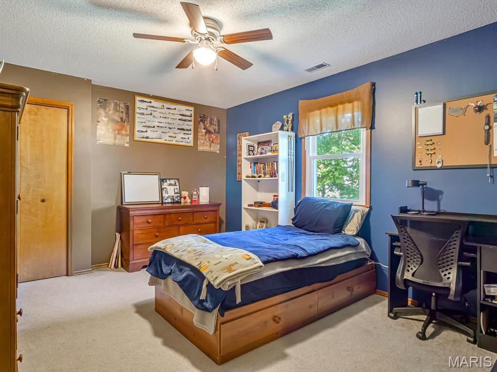 210 South 4th Street Baldwin, IL 62217 - Photo 16 of 21 Gallery Image 16