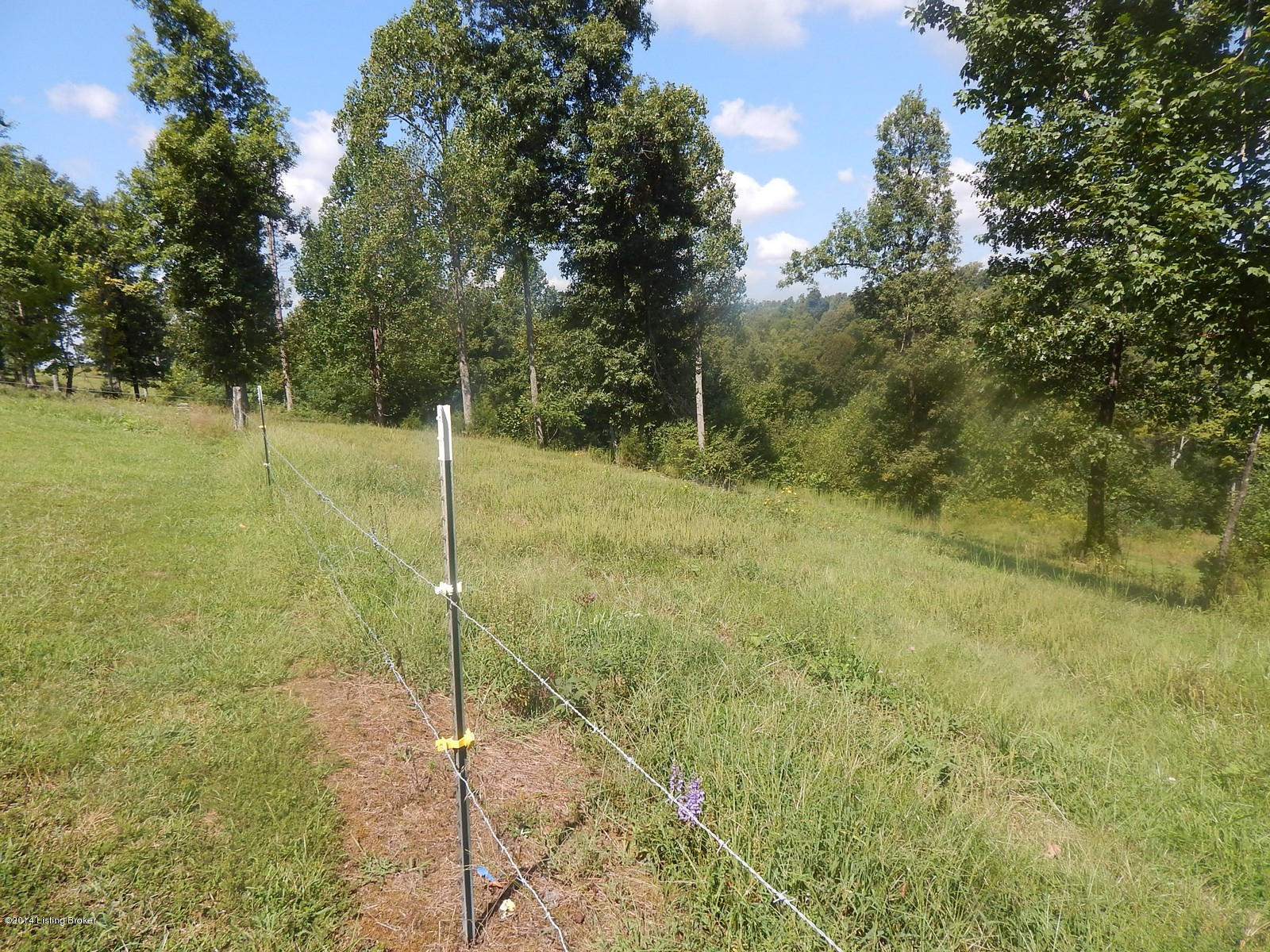 324 B Grant Road Leitchfield, KY 42754 - Photo 23 of 30 324 Grant Rd 52