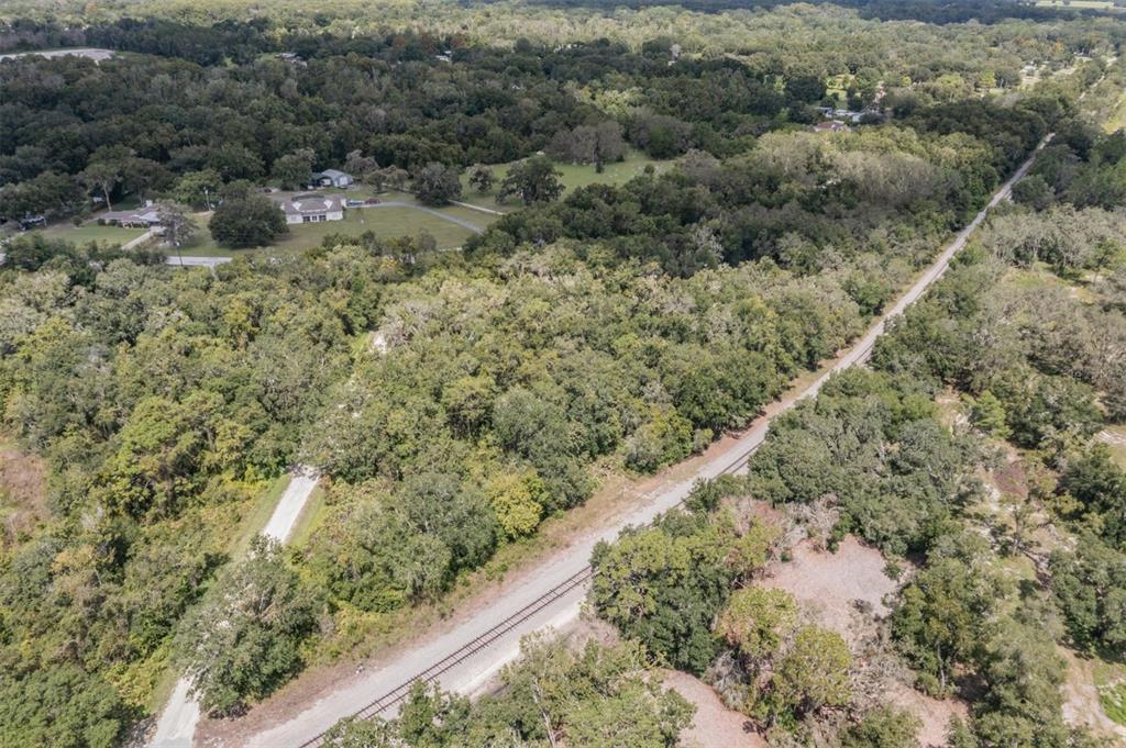 0 Kent Grove Drive Spring Hill, FL 34610 - Photo 2 of 16 a view of a forest with a forest