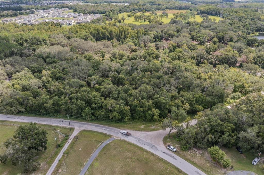0 Kent Grove Drive Spring Hill, FL 34610 - Photo 3 of 16 a view of a forest with a houses