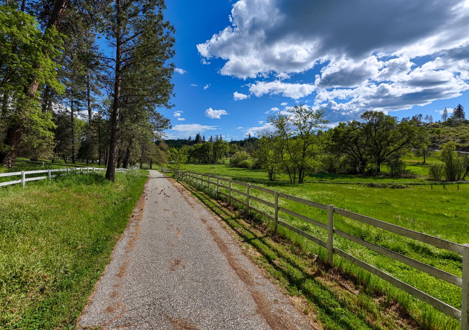 13615 McCourtney Road Grass Valley, CA 95949 - Photo 29 of 42