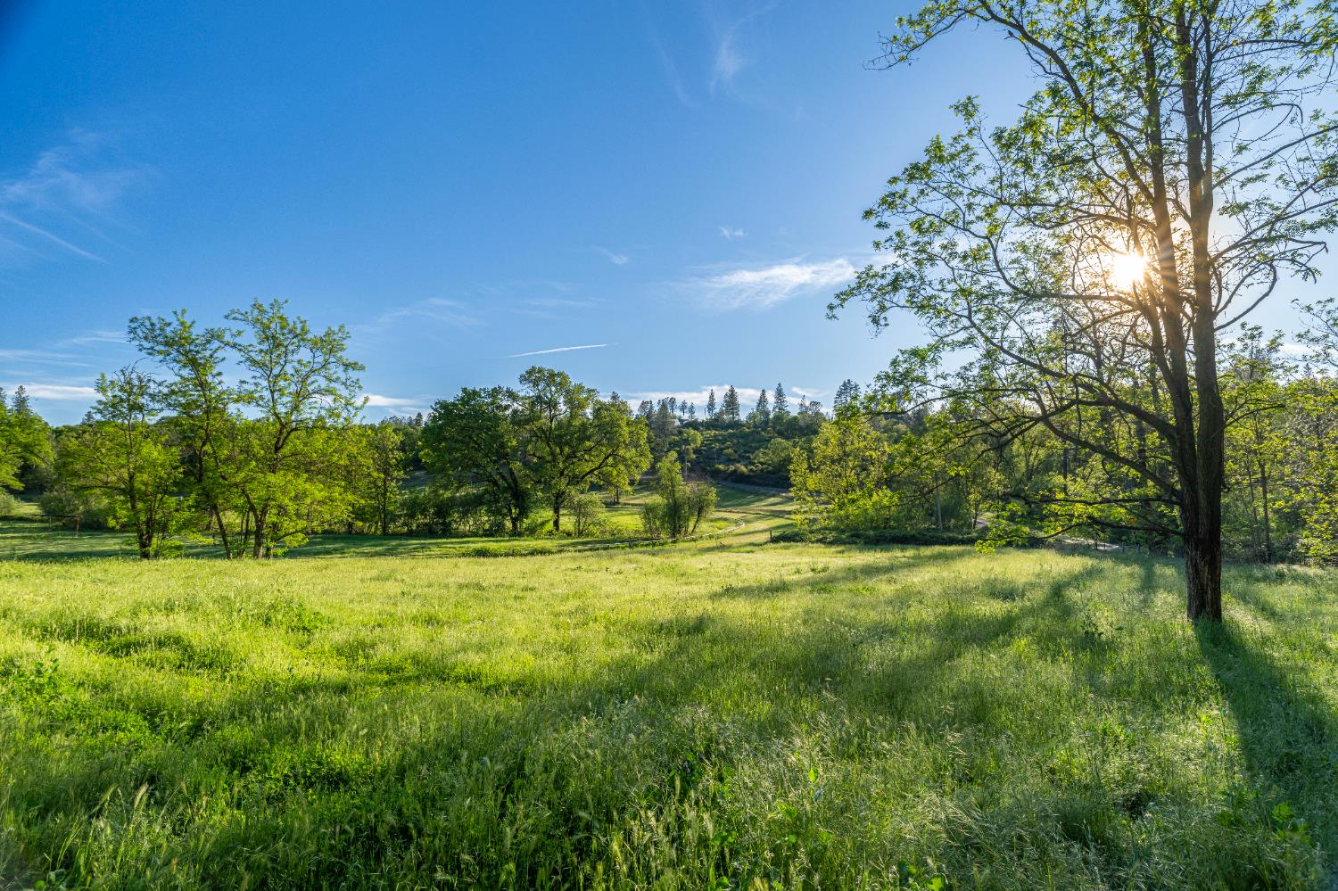 13615 McCourtney Road Grass Valley, CA 95949 - Photo 40 of 42