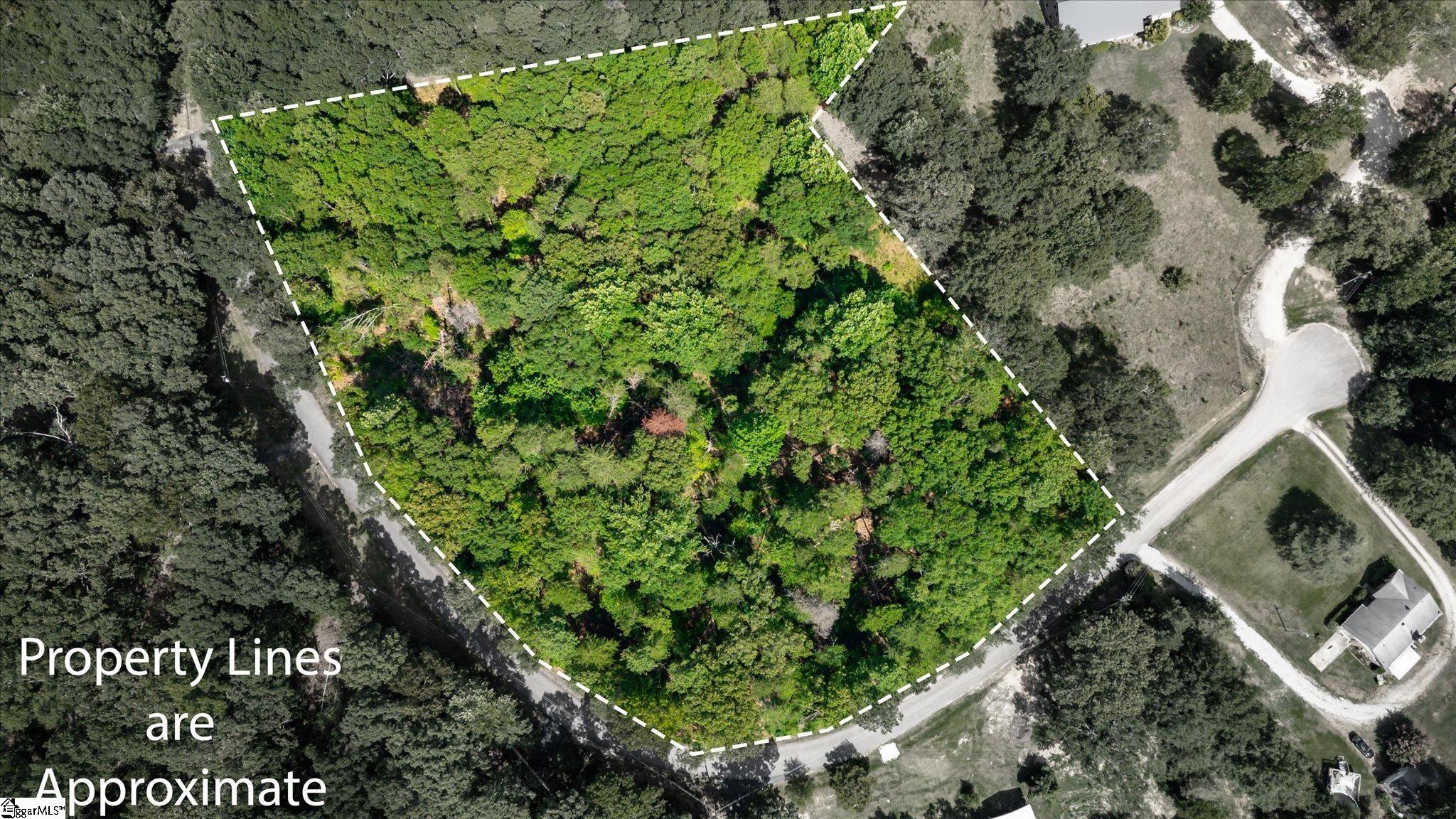 Pale Moon Court Pelzer, SC 29669 - Photo 1 of 8