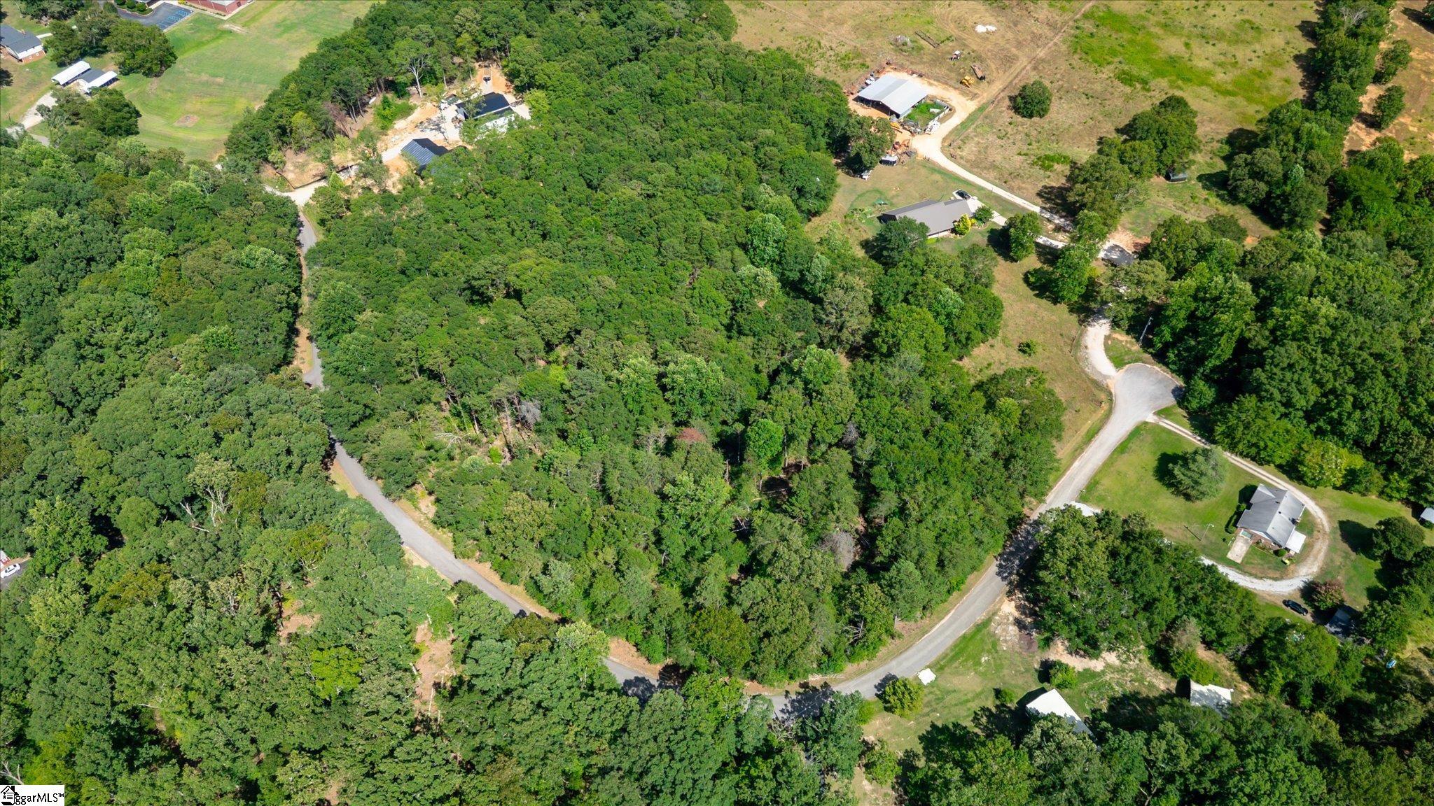 Pale Moon Court Pelzer, SC 29669 - Photo 4 of 8