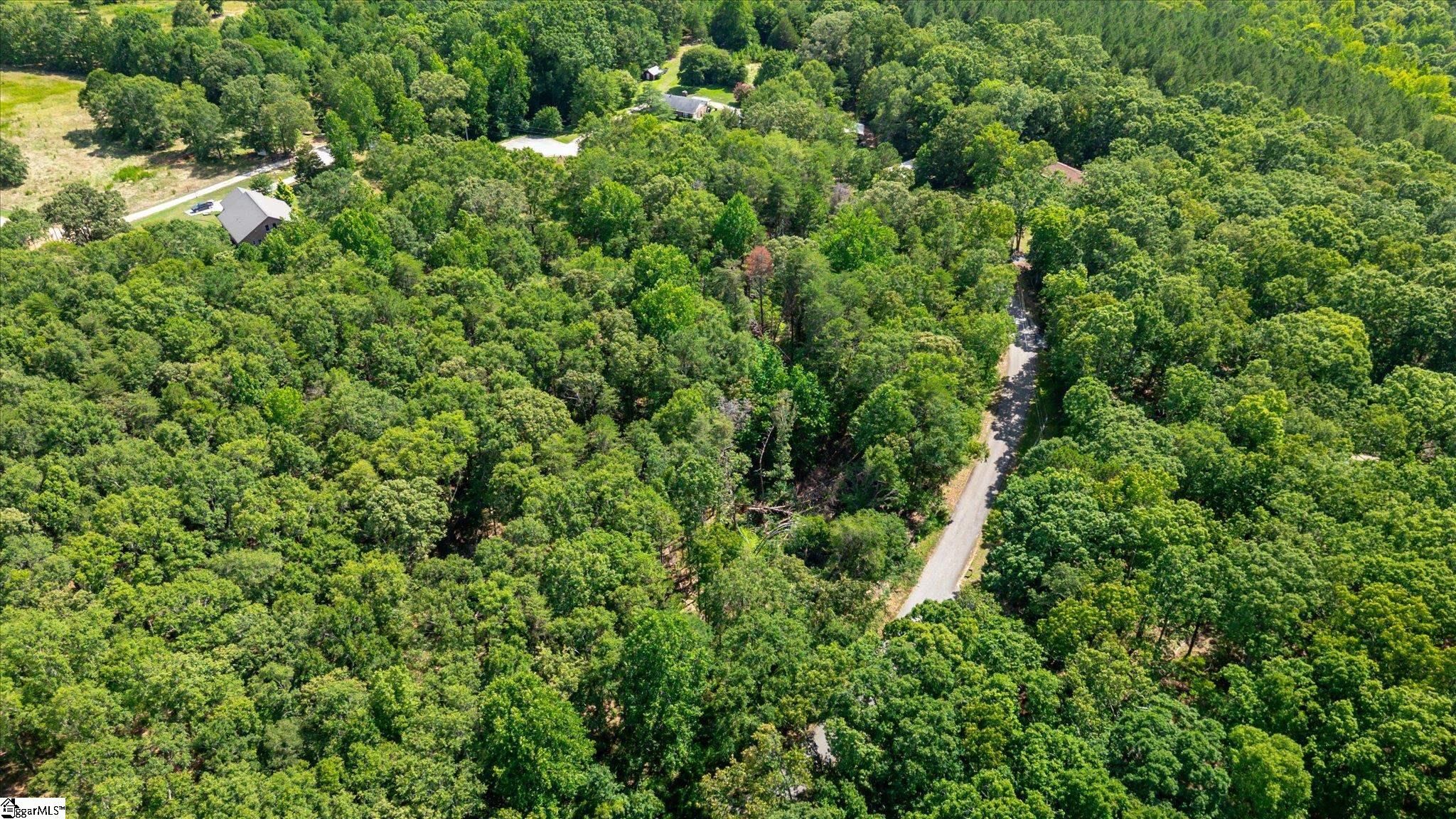 Pale Moon Court Pelzer, SC 29669 - Photo 7 of 8