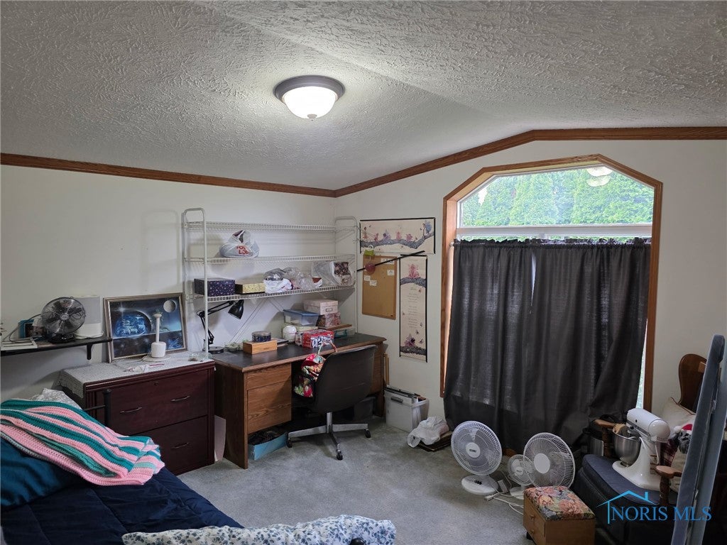 10965 County Road South Lyons, OH 43533 - Photo 6 of 27 Gallery Image 6