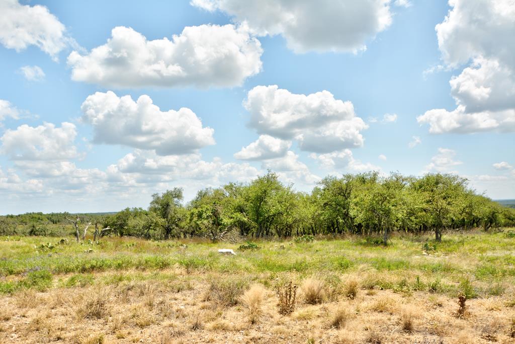 Lot 2 Rr 479 Harper, TX 78631 - Photo 1 of 4