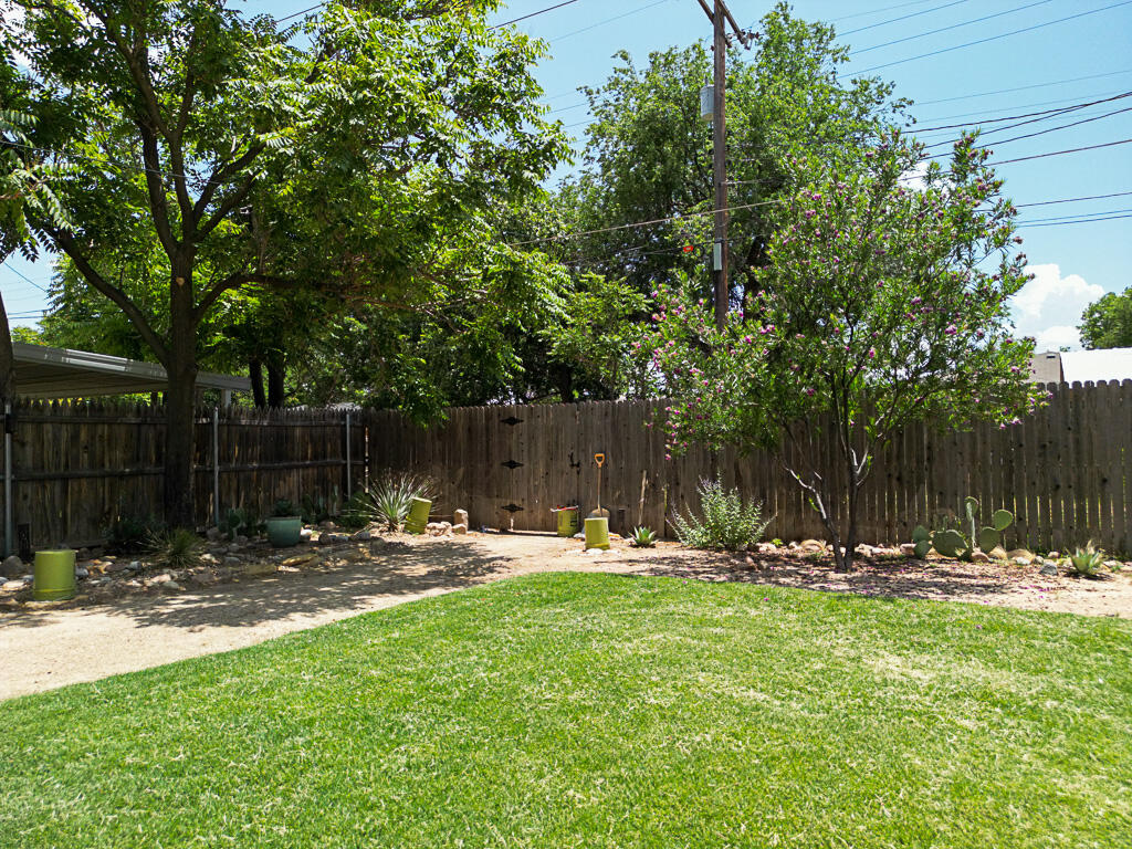 3705 24th Street Lubbock, TX 79410 - Photo 29 of 30 Backyard 3