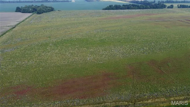 $4,700,000 | 0 County Road 507, East Prairie, MO 63845