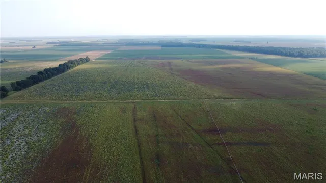 $4,700,000 | 0 County Road 507, East Prairie, MO 63845