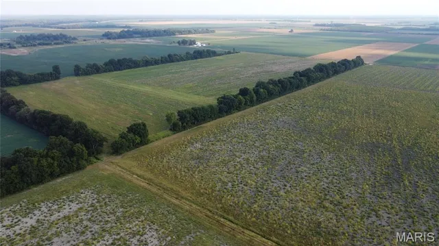 $4,700,000 | 0 County Road 507, East Prairie, MO 63845