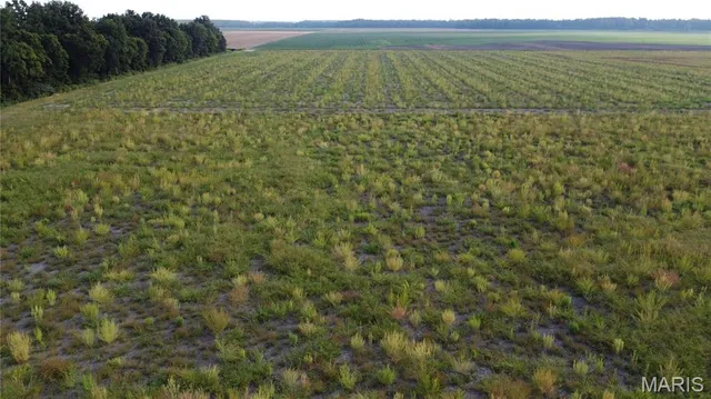 $4,700,000 | 0 County Road 507, East Prairie, MO 63845